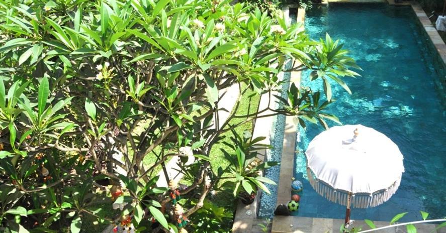 Green Chaka Eden Apartment